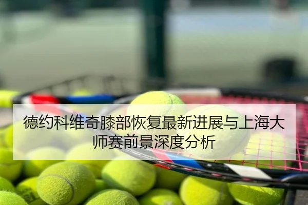 德约科维奇膝部恢复最新进展与上海大师赛前景深度分析